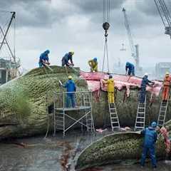 🐍 Catching & Cooking Giant Moray Eels – Deep Sea Predators | Fishing Documentary
