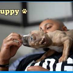 New puppy What should we name her?