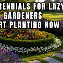 15 PERENNIALS FOR LAZY GARDENERS START PLANTING NOW | Gardening Tips 