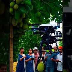 #Amazing Drone Technology Harvesting Jackfruit | Smart Farming in India#2025 #farming #automobile