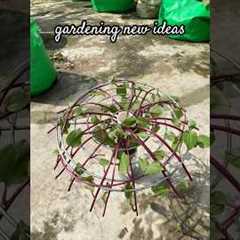 gardening new ideas #garden  #ideas #gardening #plants