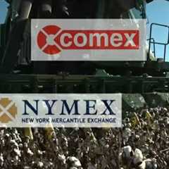 Agricultural Commodities: The Basics of Trading Futures and Options