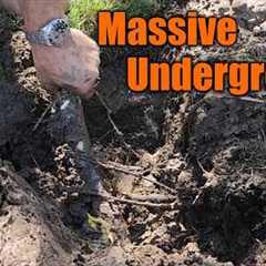 Emergency Plumbing Repair | They Called A Handyman And NOT A Plumber