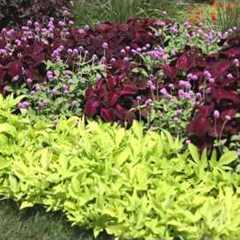 Garden Landscape - How to Design a Garden