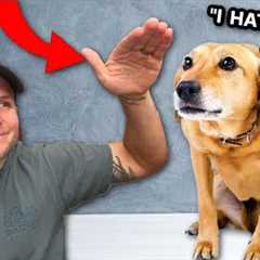 7 Ways You’re Hurting Your Dog Without Realizing!