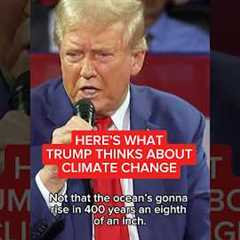 What Trump thinks about climate change