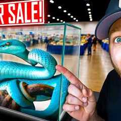 You Won't Believe What We Found At This Reptile Expo!