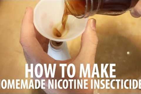 Homemade Insect Spray: How To Make Nicotine Insecticide!