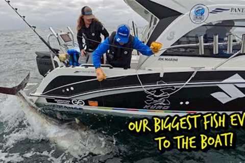 Our Biggest Fish Ever to the Boat! | The Fight of a Lifetime in Cornwall Uk Bluefin Tuna Fishing..