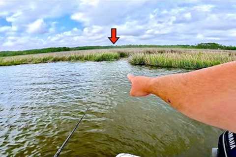 Catch MORE! Saltwater Fish Using THIS Technique! *EASY Fishing*