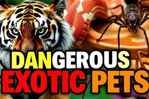 The Dangerous Exotic Pet
