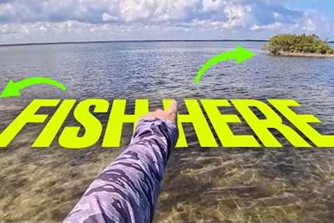 Fishing a New Spot? Here’s EXACTLY Where to Start!
