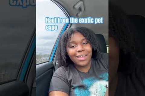We went to the exotic pet expo #exoticpet #snakes #fun #exhibition