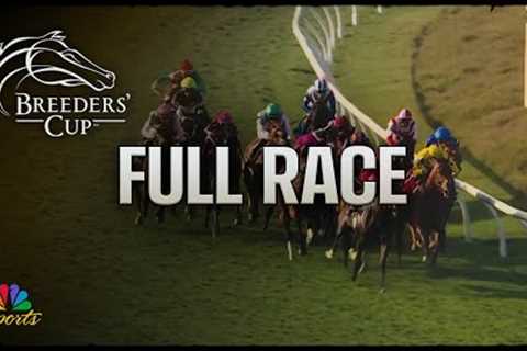 Breeders' Cup 2025: Mile (Full Race) | NBC Sports