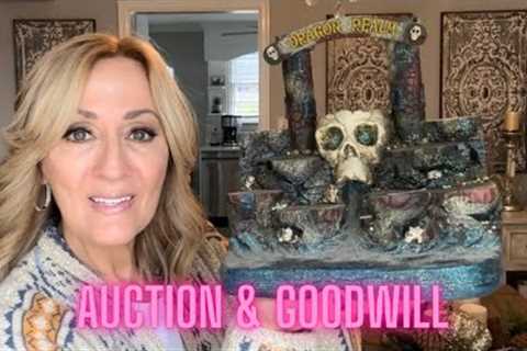 LOOK what I WON For only $2.00!!  My AUCTION &amp; Goodwill HAUL!!