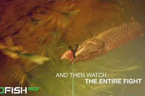 GoFish Cam - The Most Popular Wireless Underwater Fishing Camera