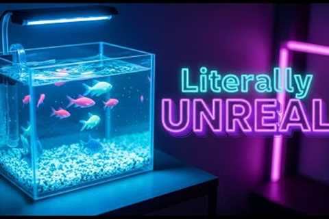 5 Best Fish Tanks Perfect for the BEGINNERS in 2025