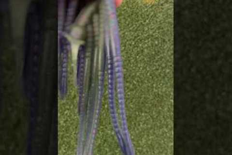 👉 DIY Custom Bass Worms: Craft Your Own Fishing Lures 🎣 #custombaits #bassfishing #smokinbaits