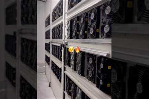 Stop trading—Start mining. Welcome to the next level of crypto. #datacenter #crypto #mining