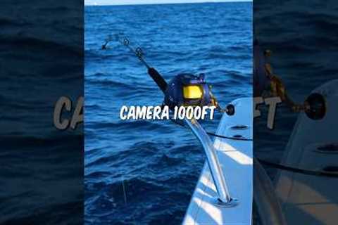 I Fished With A CAMERA 1000 Feet Deep… #fishing #shorts