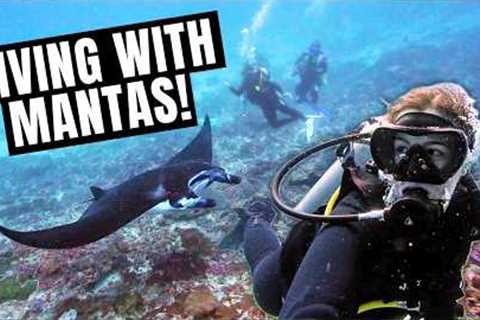 Scuba Diving with Manta Rays in Nusa Penida 🇮🇩 Indonesia Travel Vlog