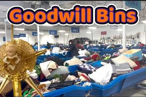 Let’s Go Shopping at the Goodwill Bins | Thrifting for Vintage to Resell | Spent $23 Today