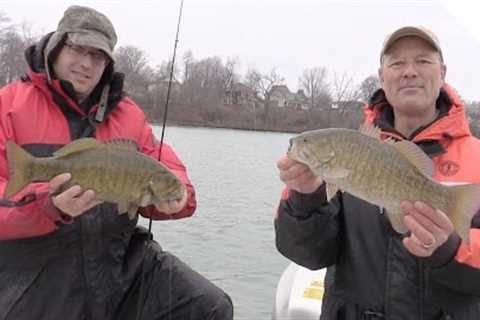 T-Turn Live Bait Rig for Catching Smallmouth Bass (Live Minnows)