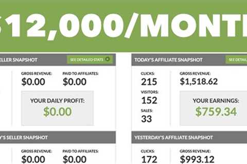 Make $12,601/Month With A Beginner Friendly Way (JVZoo Affiliate Marketing Tutorial) | PayPal Money