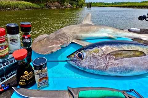 Fresh TUNA + SHARK Catch n' Cook on the Boat!