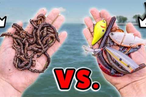 Live Bait &amp; Artificial Lures… Which One Is Best?