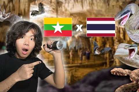 Finding SNAKES in Thailand - Myanmar BORDER | Herping vlog ep.16 🇹🇭 🇲🇲 🐍