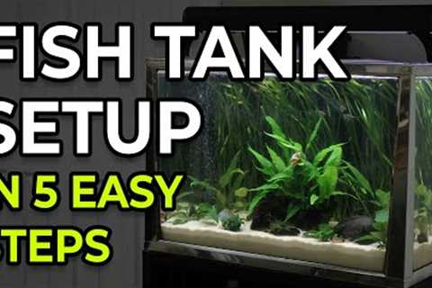 Setting Up Your First Fish Tank? WATCH THIS First!