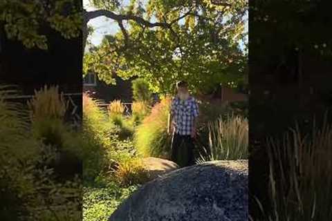 Xeriscape Done Right! #landscape #design #gardening #education #xeriscape #thejamesbattonshow