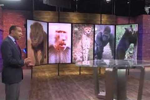 Popular exotic pets in Texas