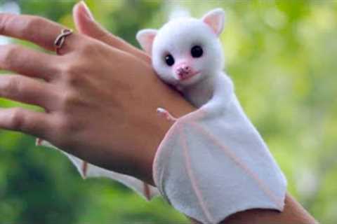 15 Unusual Pets You’ll See For the First Time in Your Life