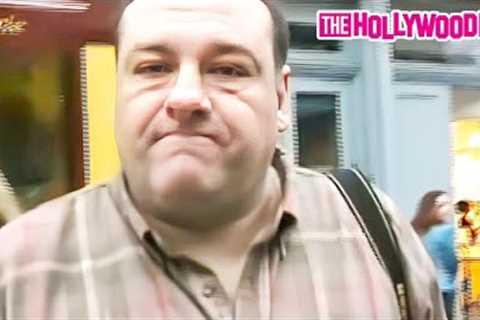 James Gandolfini Aka 'Tony Soprano' Attacks Paparazzi For Filming Him Trick Or Treating With His Son