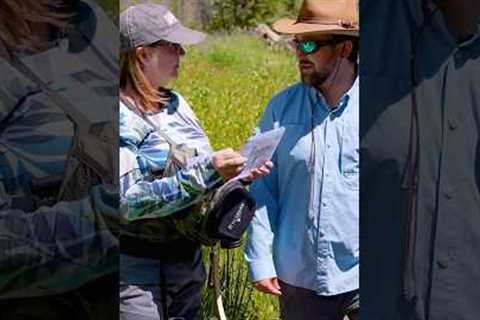 Confessions of a Fly Fishing Guide: What Clients Get Wrong