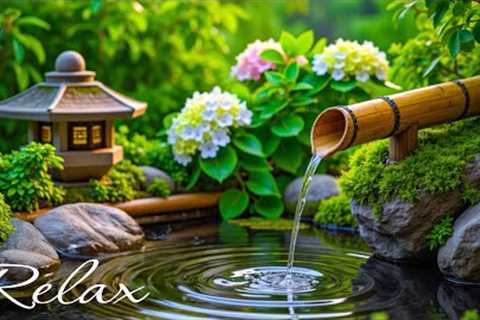 Relaxing Music + Peaceful Water Sounds , Reduce Stress🌿 Heals the Body and Soul - Deep Sleep Music
