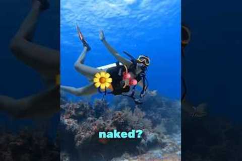 Would you dive naked? Loved my 100th dive in #Cozumel #Mexico ! #scubadiving