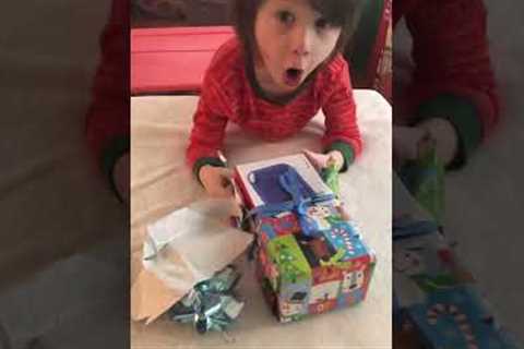 Nintendo Switch Christmas!