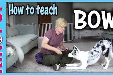How to teach BOW  - Dog Tricks tutorial