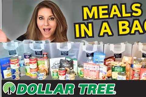 7 Dollar Tree Dinners for 50 Bucks! - Budget Prepper Pantry Survival Meals for When You're Broke -