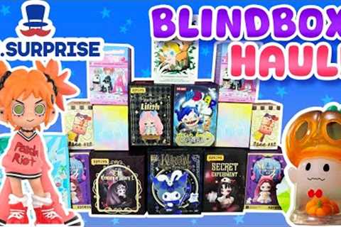 $400 MR.SURPRISE BLIND BOX HAUL!!! WE GOT A SECRET?!