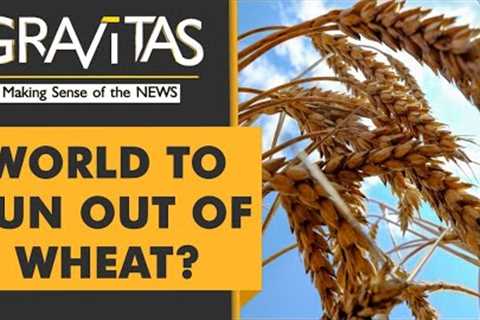 Gravitas: Ukraine war triggers global food crisis