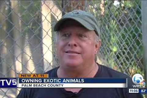 How to own dangerous, exotic animals in Florida