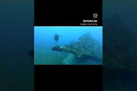 RMS Rhone diving! #scuba #diving #travel #adventure #bvidiving #boatlife