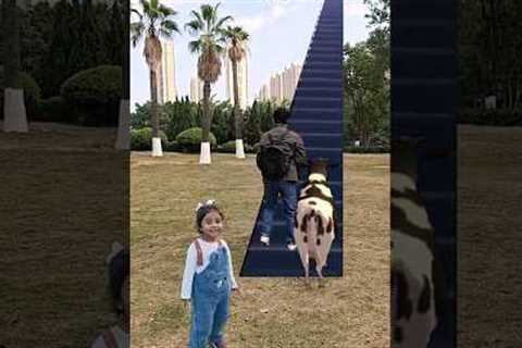 Funny Travel Video l ✈️️3D Animation| #shorts #viral