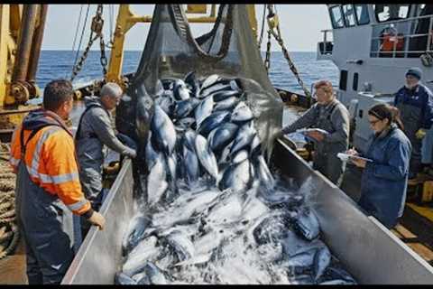 Tons of Tuna in Minutes – The Most Epic Deep Sea Fishing Haul Ever