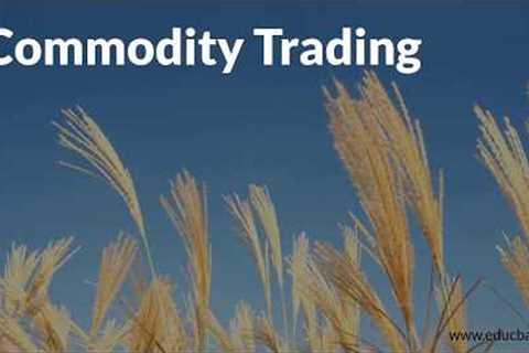 How Commodity Market works
