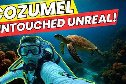 Scuba Diving in Cozumel – Is It Still the Best in 2025?